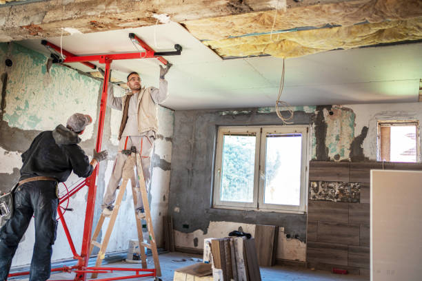 Best Insulation Maintenance and Repair in Williamstown, NJ