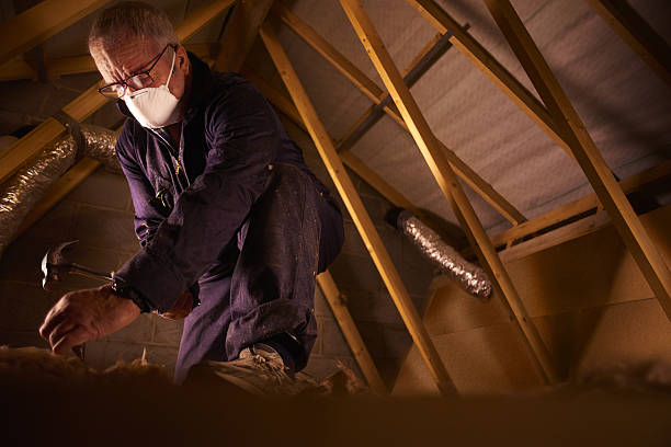 Best Types of Insulation in Williamstown, NJ